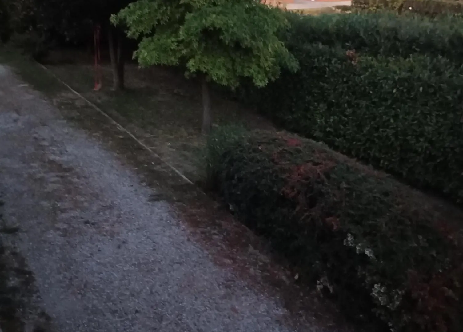 Casa Di Petya Hotel Calvecchia Italy